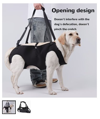 Dog Support Harness / Mobility Lift Sling for Large Dogs